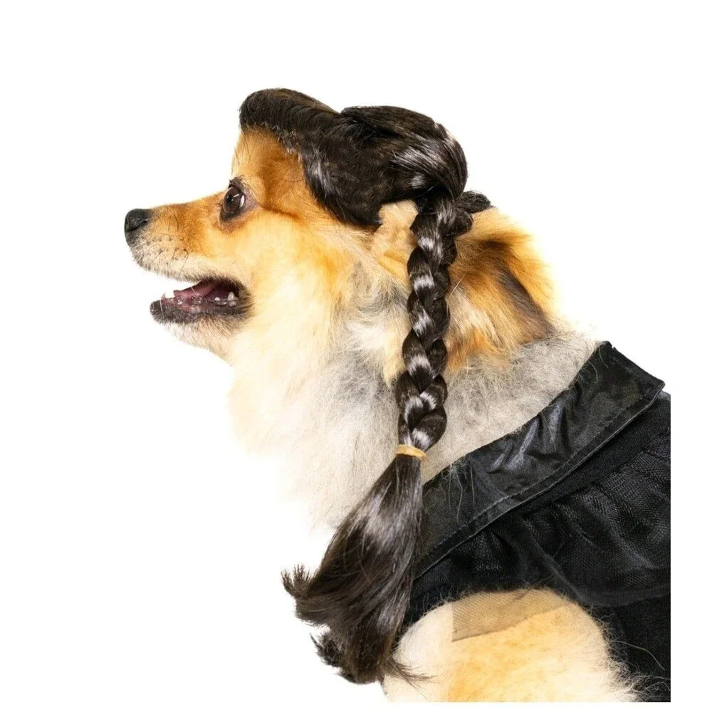 Vibrant Life Gothic Witch Dog/Pet Halloween Costume Wig & Outfit S (10-20Lbs)